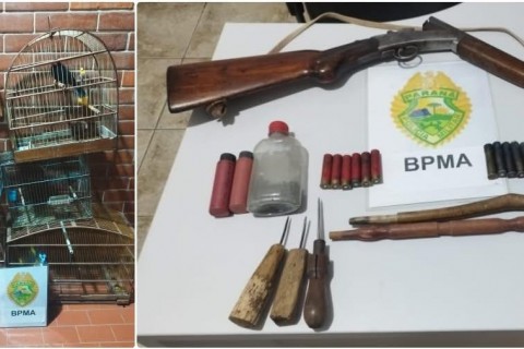 POLÍCIA AMBIENTAL APREENDE AVES SILVESTRES MANTIDAS ILEGALMENTE EM CATIVEIRO E ARMA DE FOGO IRREGULAR EM ORTIGUEIRA/PR