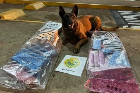BOM TRABALHO RAFIKI, "OS POLICIAIS TAMBÉM"!